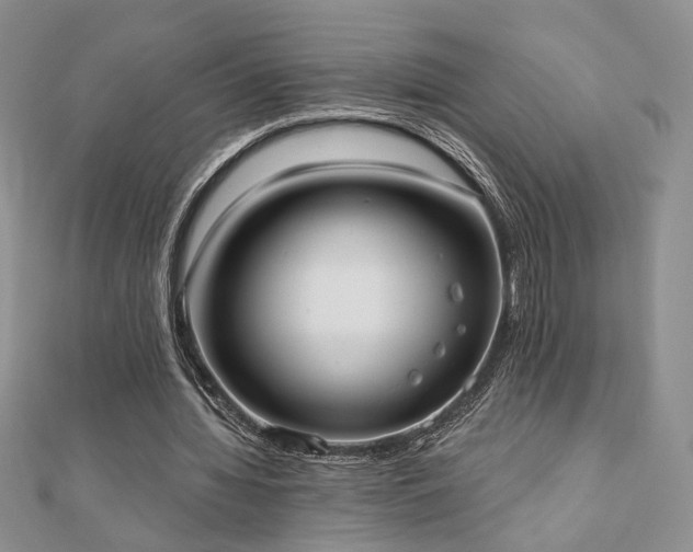 X0000110900436200906181326