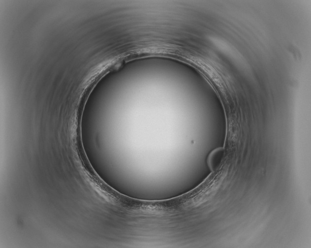 X0000110900437200906181326