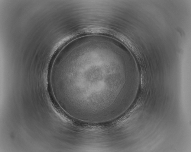 X0000110900438200906181326