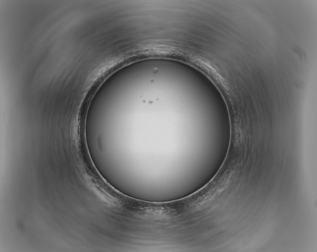 X0000110900439200906181326