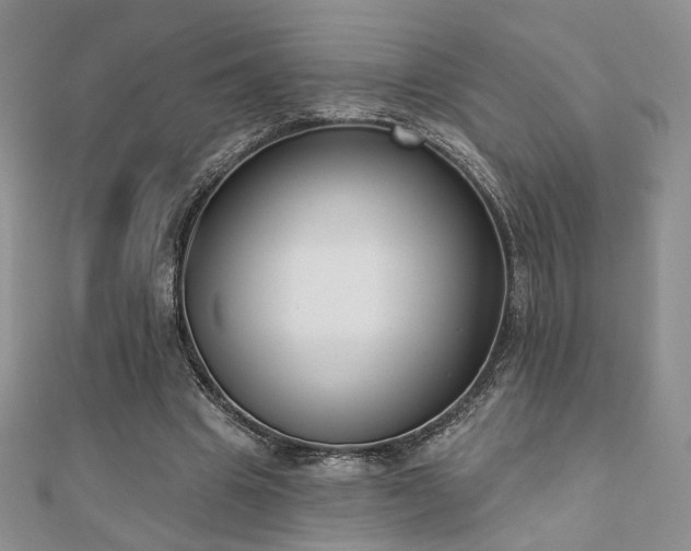 X0000110900441200906181326