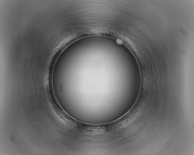 X0000110900443200906181326