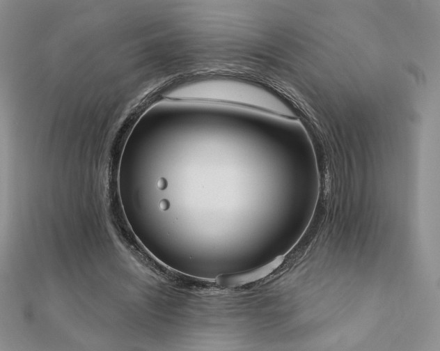 X0000110900444200906181326