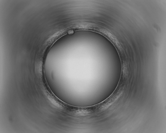 X0000110900445200906181326