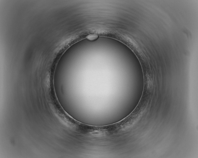 X0000110900447200906181326
