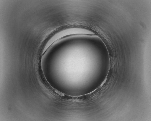X0000110900448200906181326