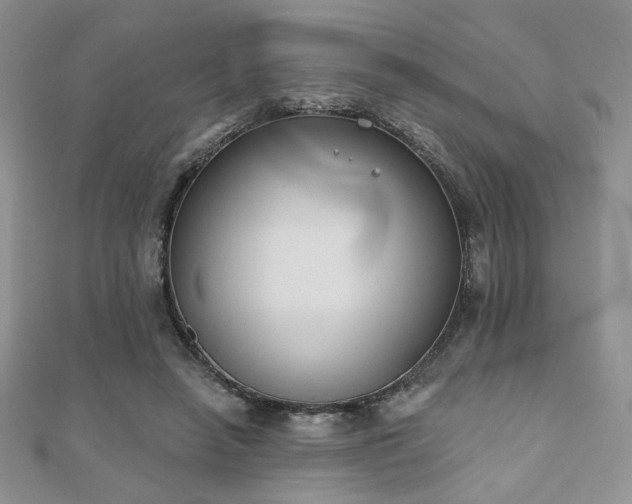 X0000110900450200906181326