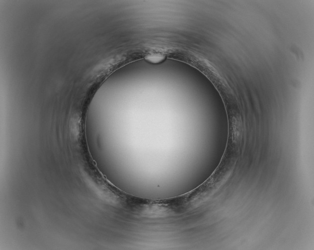 X0000110900451200906181326