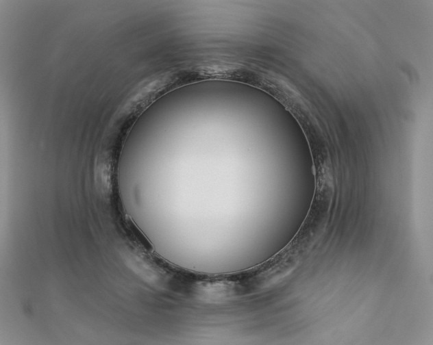 X0000110900452200906181326
