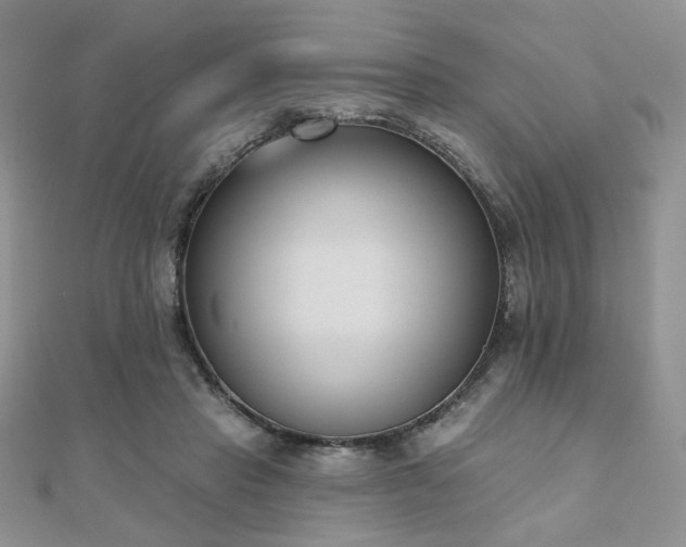 X0000110900453200906181326