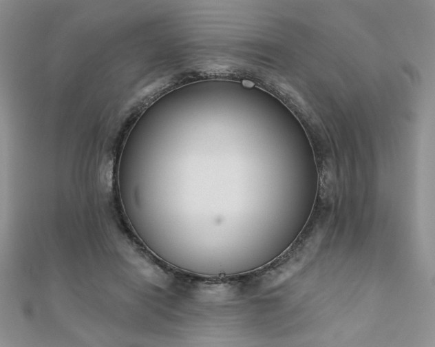 X0000110900454200906181326