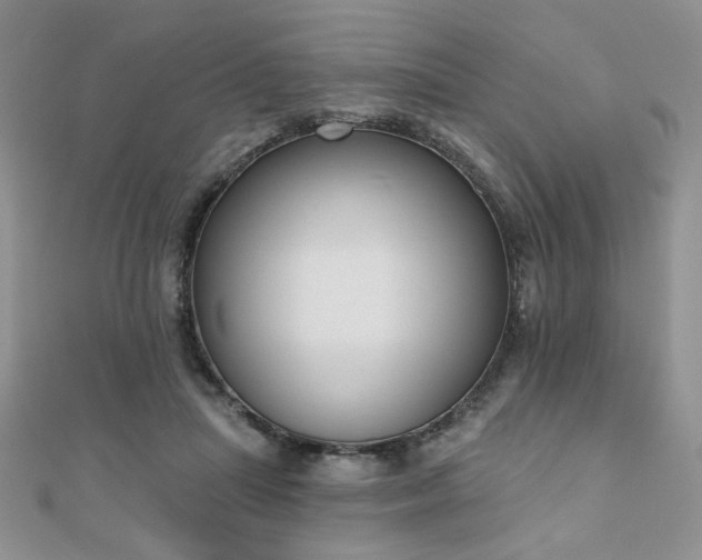 X0000110900455200906181326