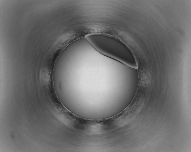 X0000110900456200906181326