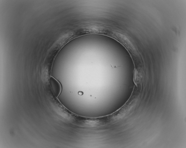 X0000110900457200906181326