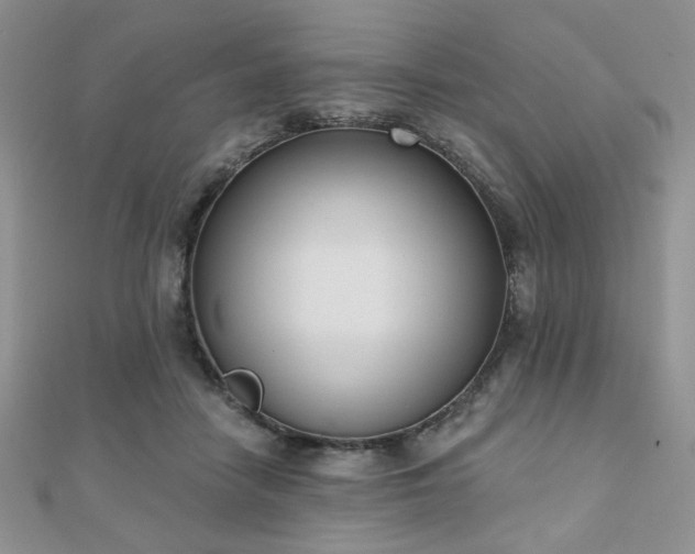 X0000110900458200906181326