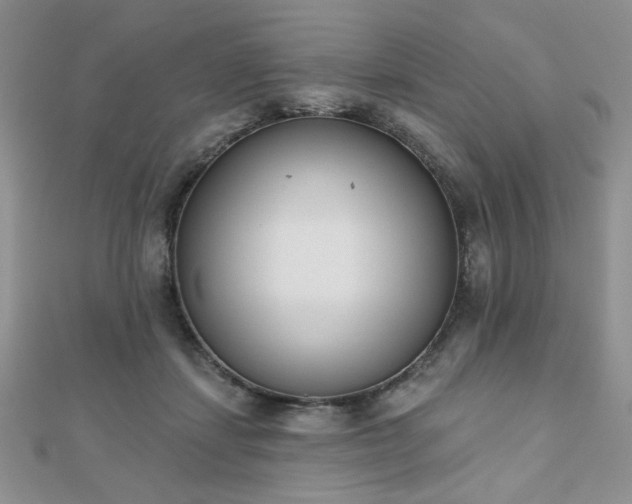 X0000110900459200906181326