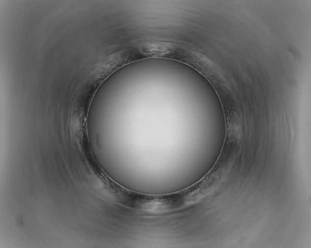 X0000110900460200906181326