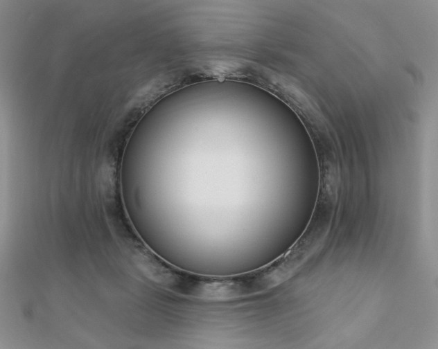 X0000110900461200906181326