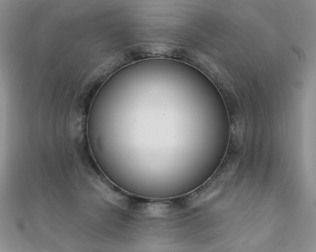 X0000110900462200906181326