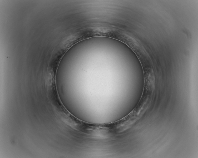 X0000110900463200906181326