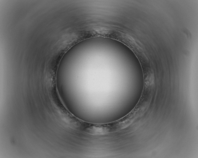 X0000110900464200906181326