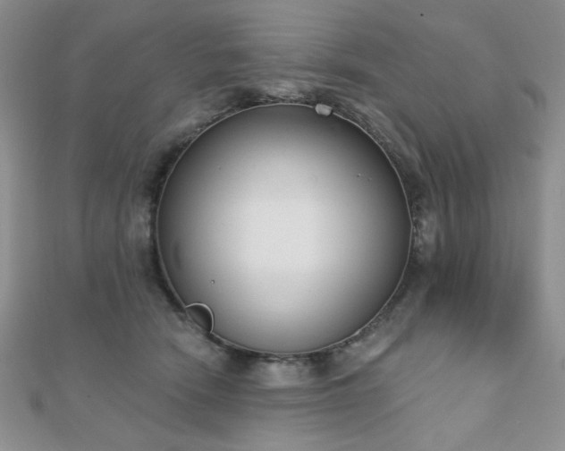 X0000110900466200906181326