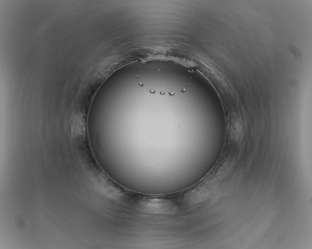 X0000110900467200906181326