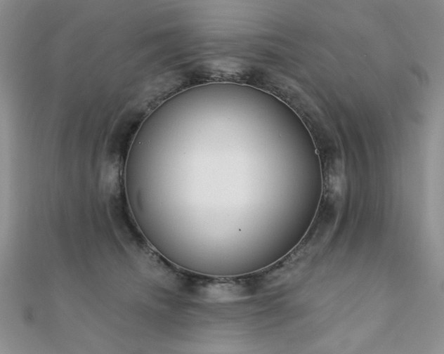 X0000110900468200906181326