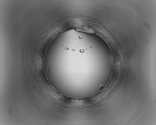 X0000110900469200906181326