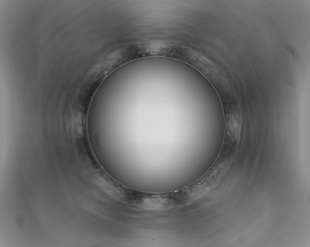 X0000110900470200906181326