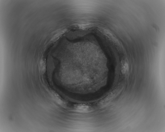 X0000110900471200906181326