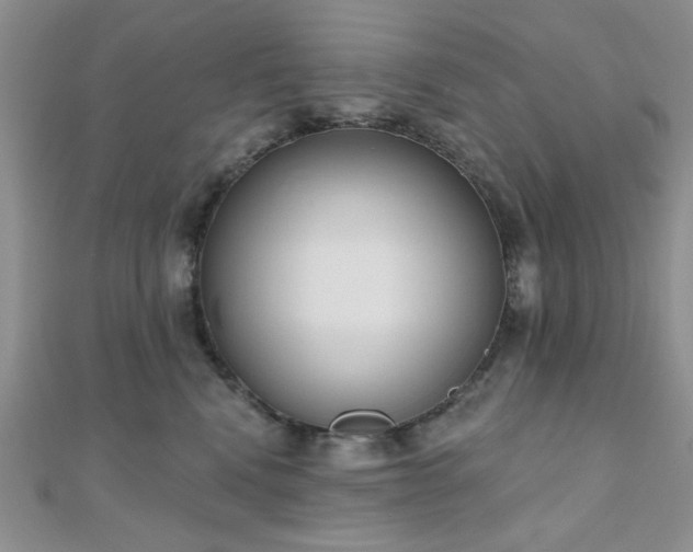 X0000110900472200906181326