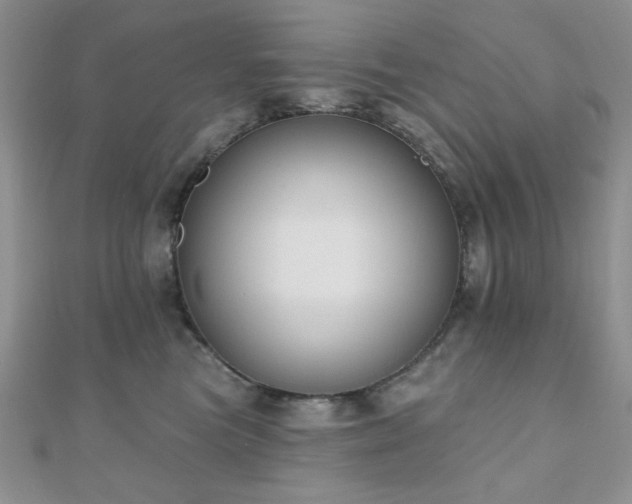 X0000110900473200906181326