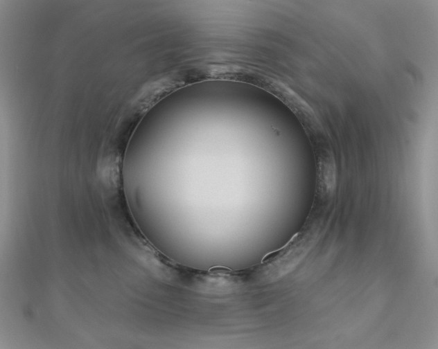 X0000110900475200906181326