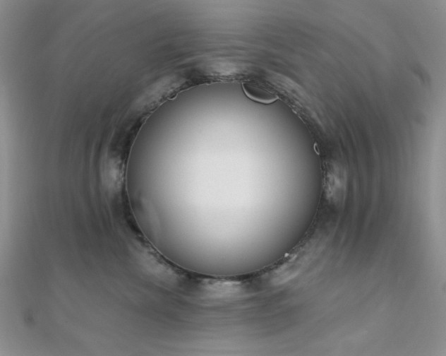 X0000110900476200906181326