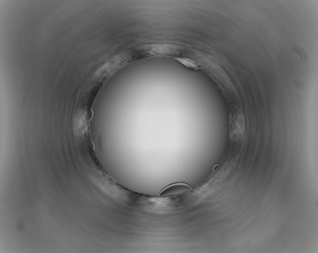 X0000110900478200906181326