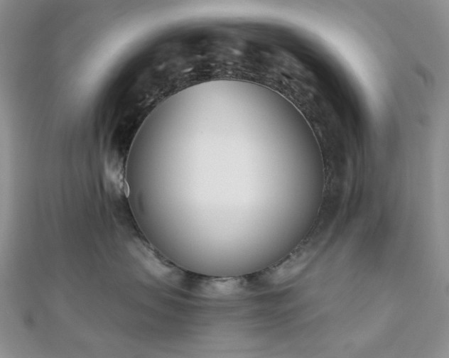 X0000110900479200906181326