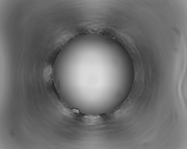 X0000110900480200906181326