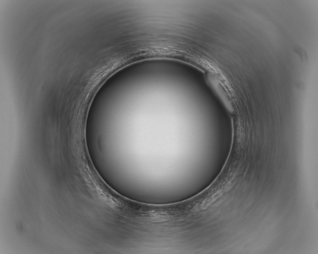 X0000110900481200906181326