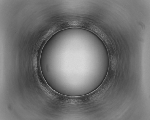 X0000110900482200906181325