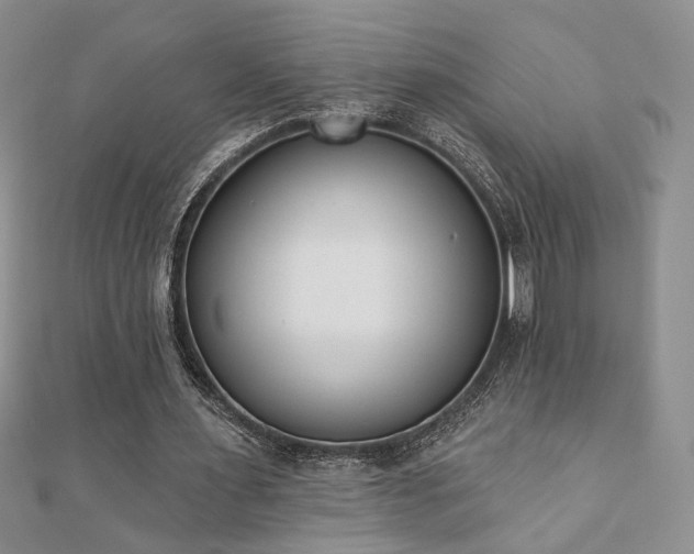X0000110900483200906181325