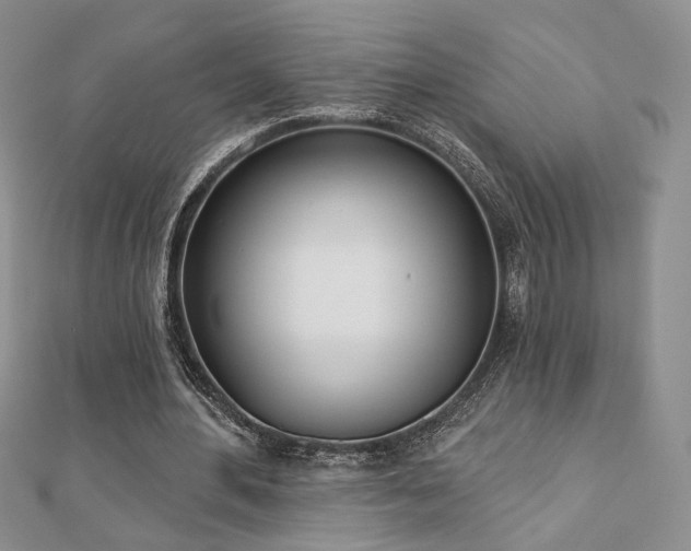 X0000110900484200906181325