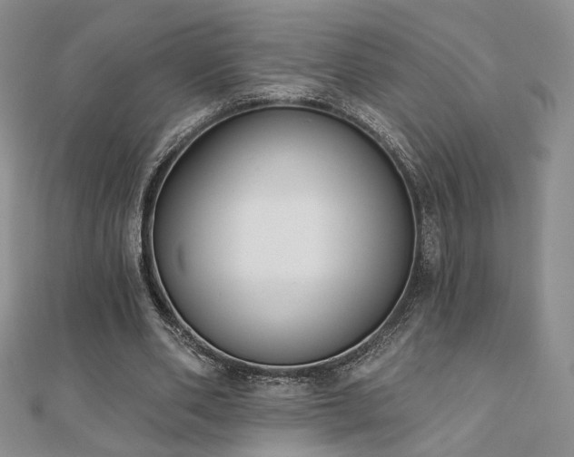 X0000110900486200906181325