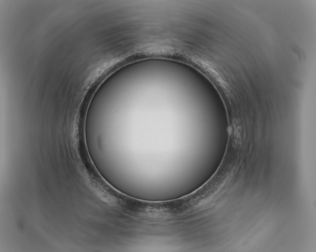 X0000110900487200906181325