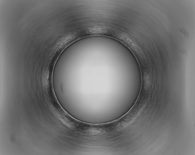 X0000110900490200906181325