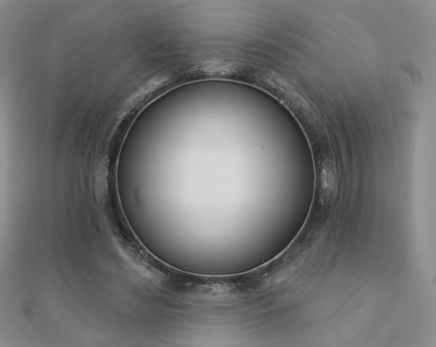 X0000110900492200906181325