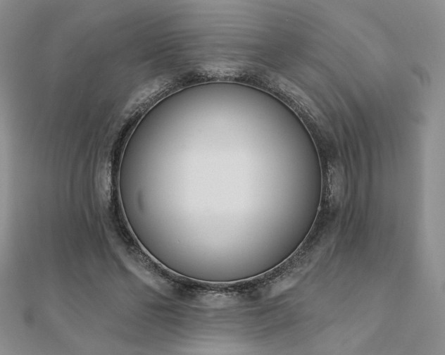 X0000110900494200906181325
