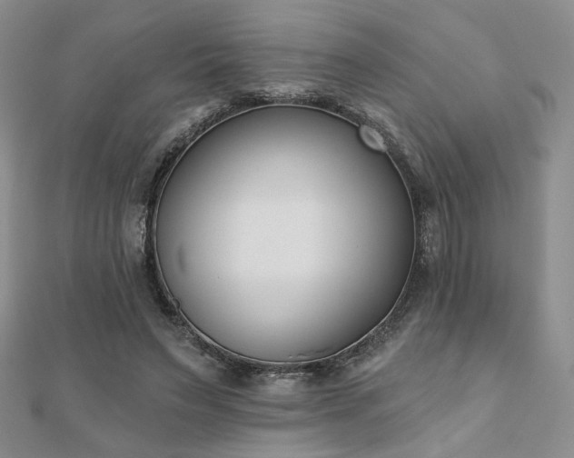 X0000110900495200906181325