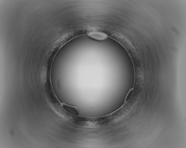 X0000110900496200906181325