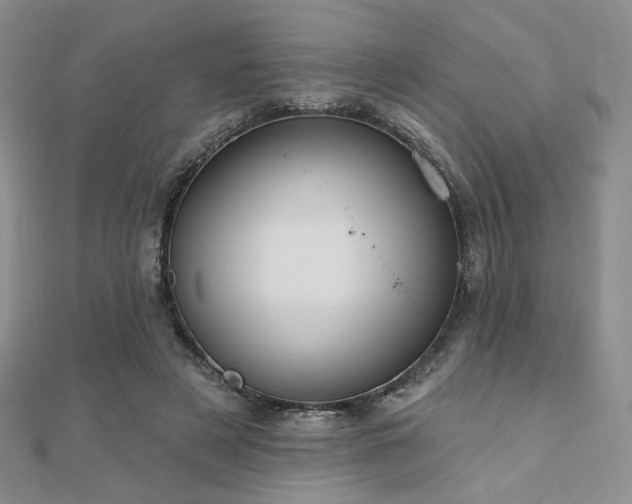 X0000110900497200906181325